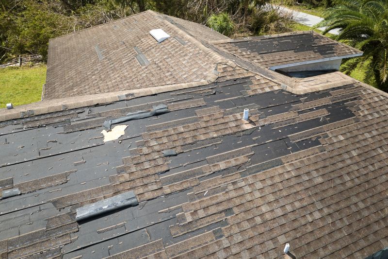 Roof Underlayment Replacement